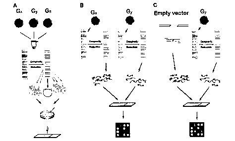 Une figure unique qui représente un dessin illustrant l'invention.